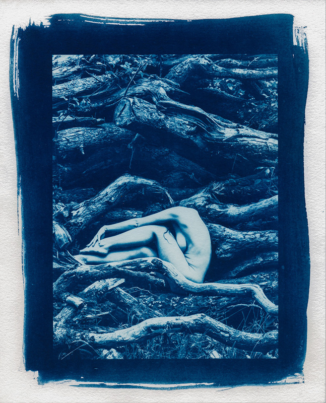 Mike Brown • Timoleague, Ireland •		
Nude with Trees