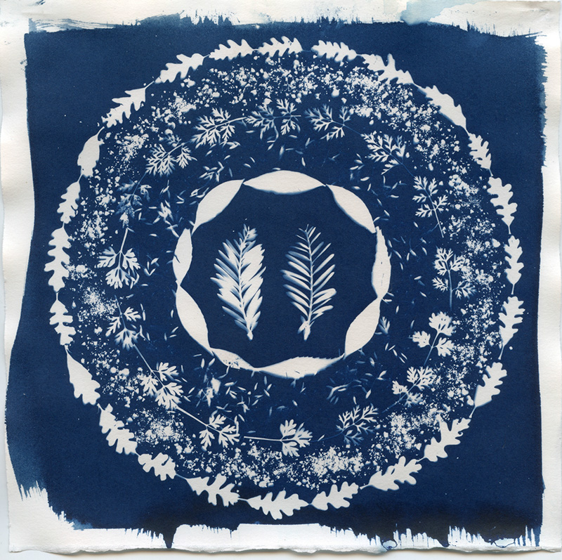 J. M. Golding •
Mandala 278 (together) •
Unique Cyanotype Photogram