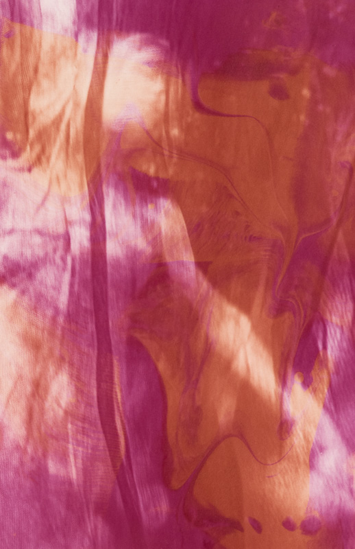 Jeannie Hutchens •
Curtain #1 2020 •
Carbon Transfer Print