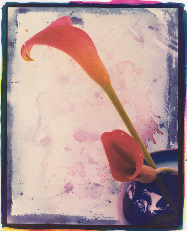 Marek Matusz •
Two Red Callas no3 •
Gum Bichromate Print