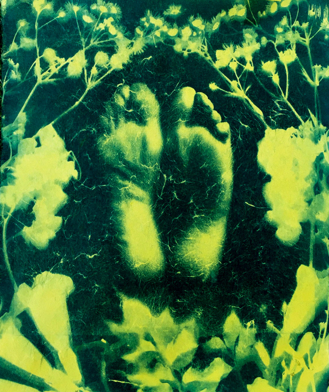 Ronald Butler •	
Nelipot #4720 •
Cyanotype Print