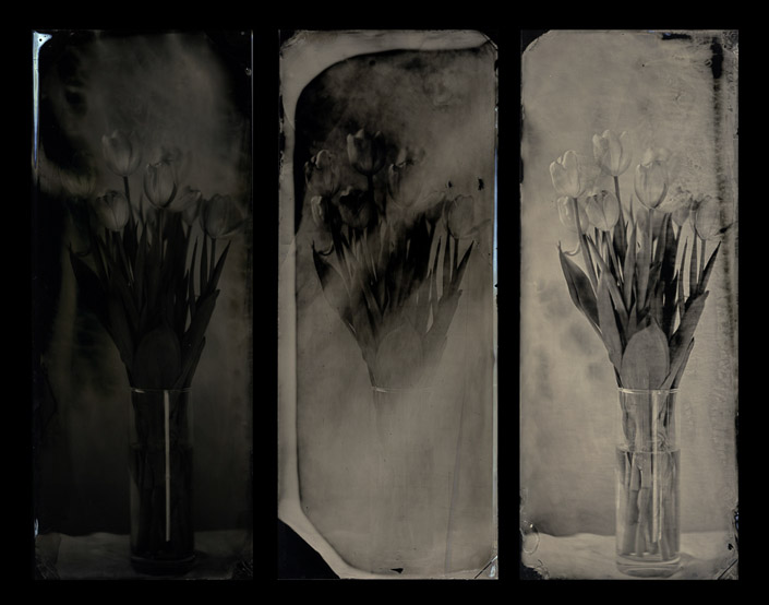Jeanne Wells • Turner, Me. •
Appearance •
Wet Plate Collodion Tintype •
$750	
