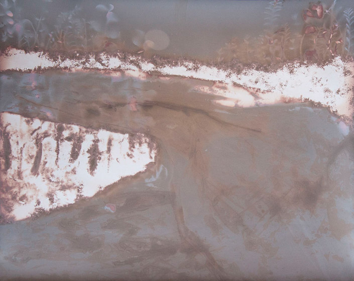 Maureen Delaney • Portland, Or. •
Lumen Landscape 3 •
Lumen Print •
NFS

