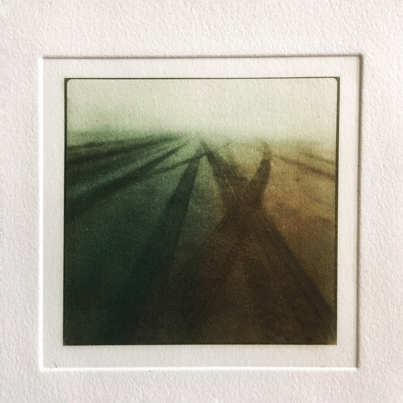 Julie Moore • Portland, Or. • Honorable Mention • 
Her Choice •
Poly Photogravure ala poupee   