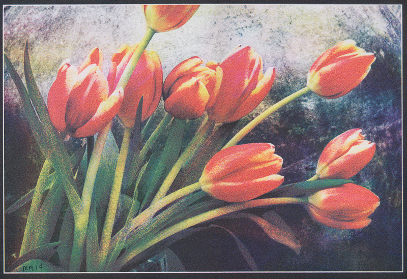 Marek Matusz  • Houston Tx. • Honorable Mention • 
Tulips •
Quad Color Casein