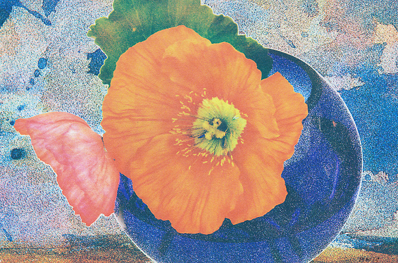 Marek Matusz • Houston Tx. •
Poppies in Blue Vase  • 
Quad Color Casein
