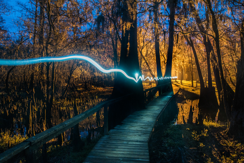 James K Lindley • Cypress Trail