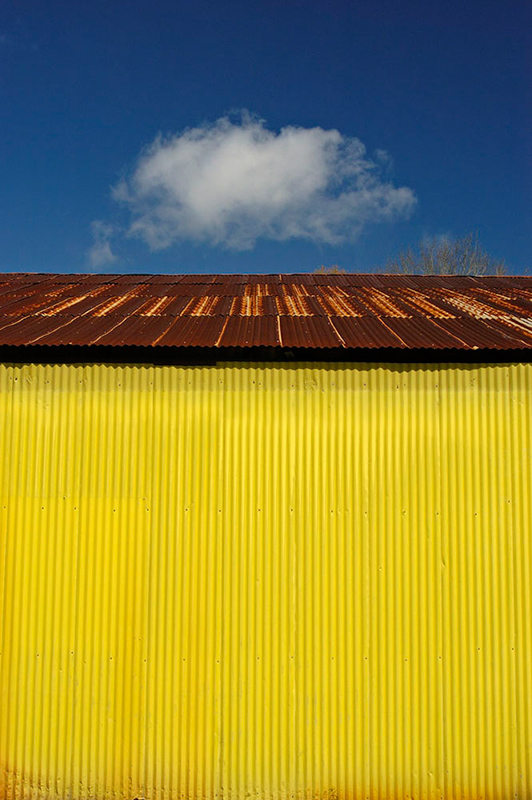 Mark Indig • Denham Springs LA