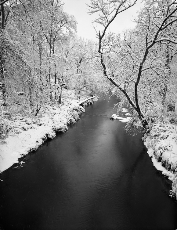 Holden Richards • Riverwalk Snow