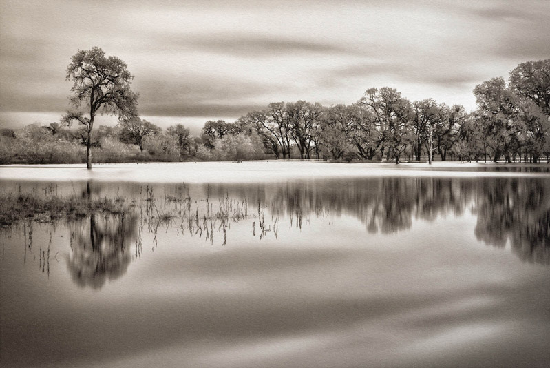 Bob Cornelius • Sebastopol, Ca. •
Laguna •
Platinum-Palladium Print