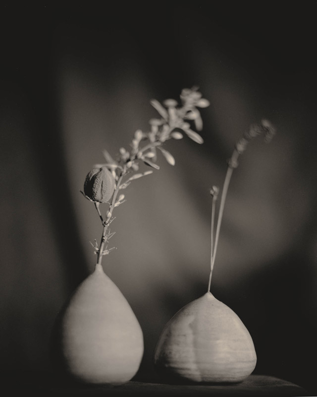 Kristopher Dahl • Irvine, Ca. •
Still Life on Beach •
Platinum-Palladium Print
