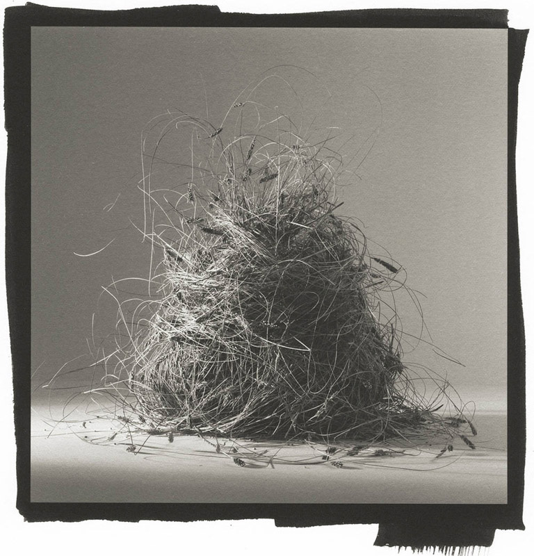 Yelena Zhavoronkova • San Francisco, Ca. •
Untitled I •
Platinum-Palladium Print

