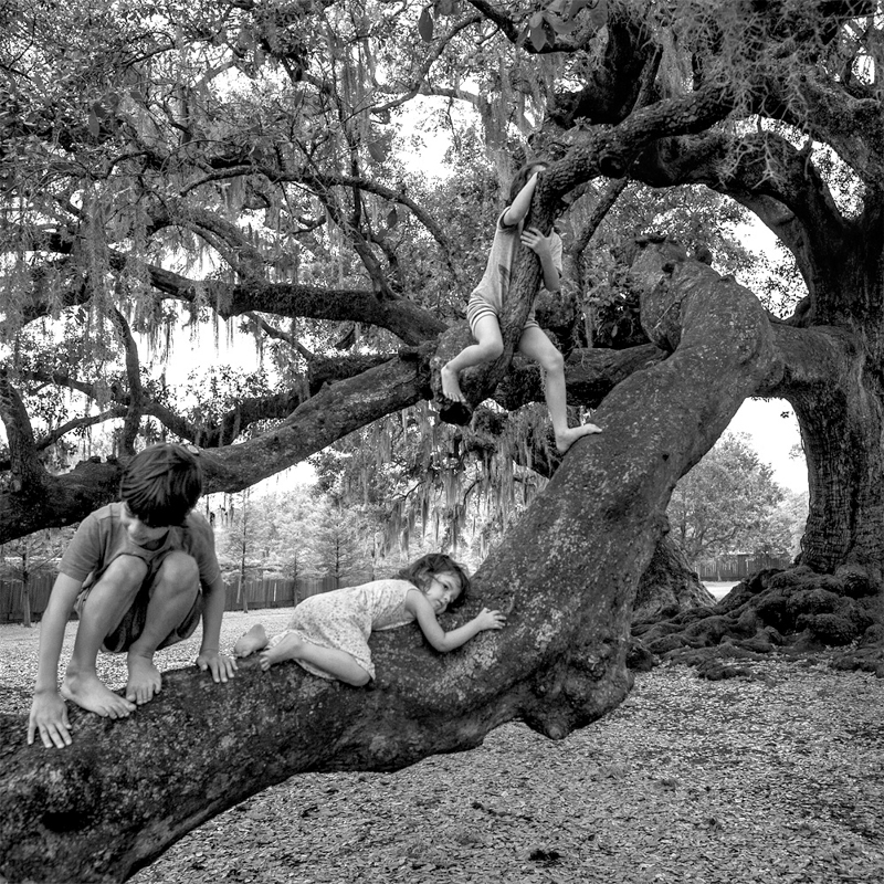 Gloria Baker Feinstein • 
Tree of Life