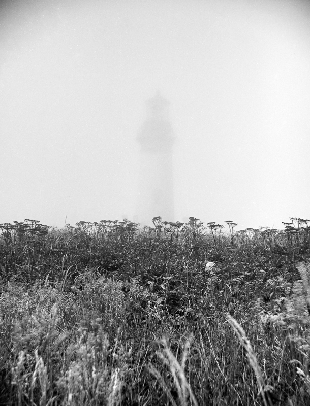 Denise Ross • Yaquina Head Lighthouse 10