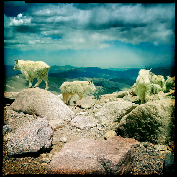 Siobhan Keleher - Denver, Co. - Mountain Goats, Mount Evans