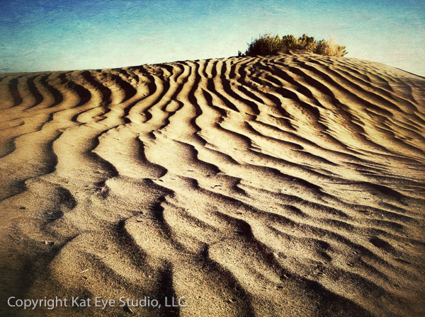 Kat Sloma - Christmas Valley Sand Dune