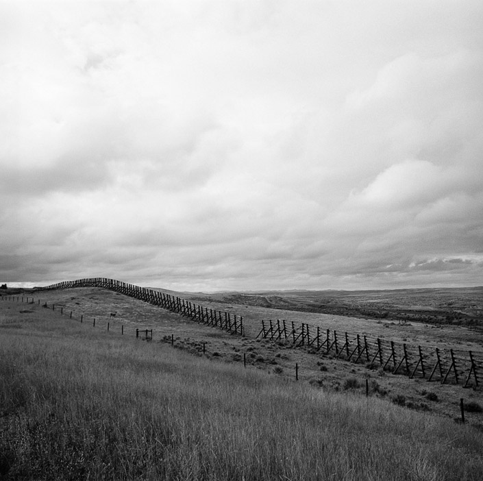 Snowfence and Deer - Eastern Wyoming from the 