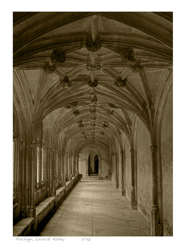 Dwight Caswell • 
Passage, Lacock Abbey
