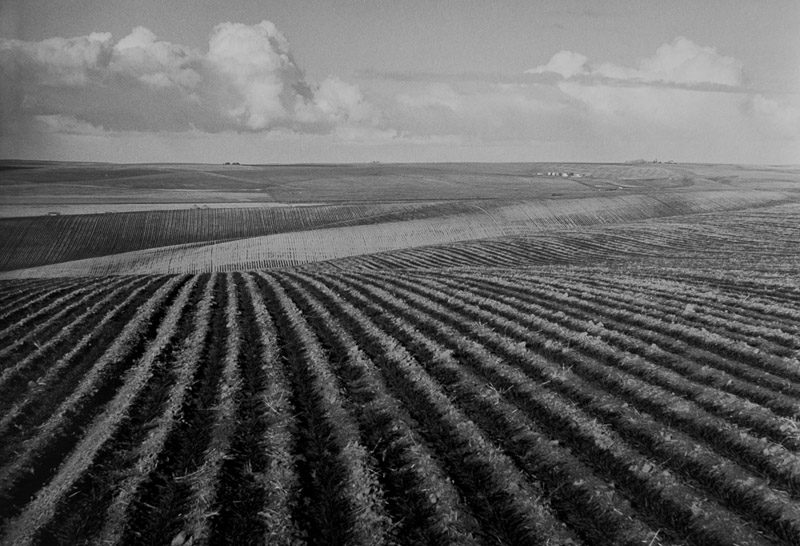 Jeff Ross •
Fields,
Central Washington, 2013
