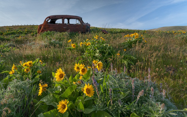 Bill Kirby • Abandoned Dalles Mt. Ranch