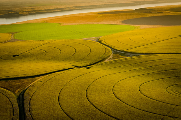 Bruce Forster • Circular Agriculture