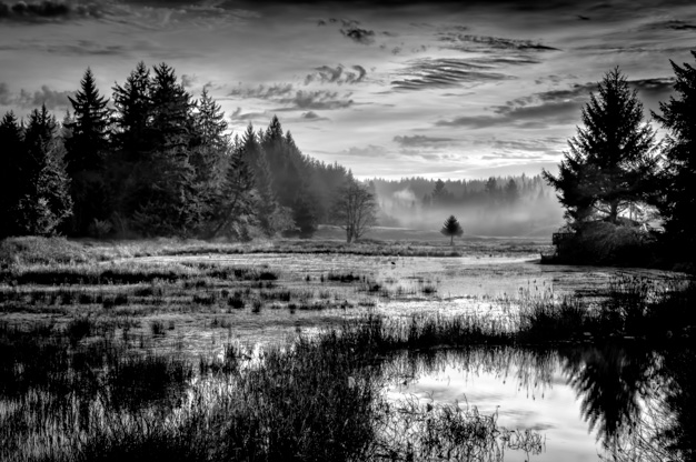 Paul Haist •  Wallooski Meadow Sunrise