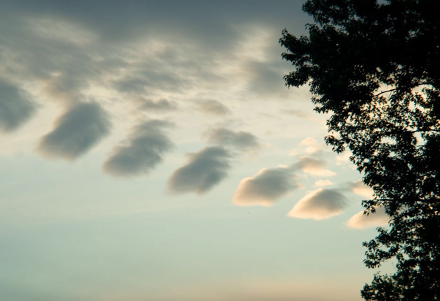 Sharon Asplan • Evening Clouds