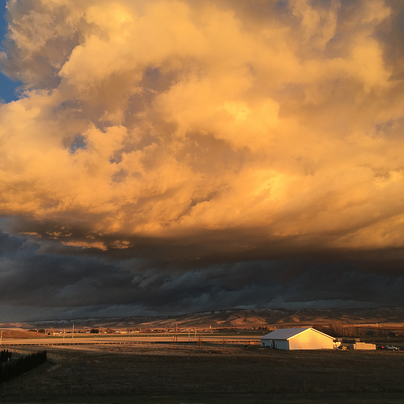 Cynthia Souder •
As the Storm Arrives we are Calm