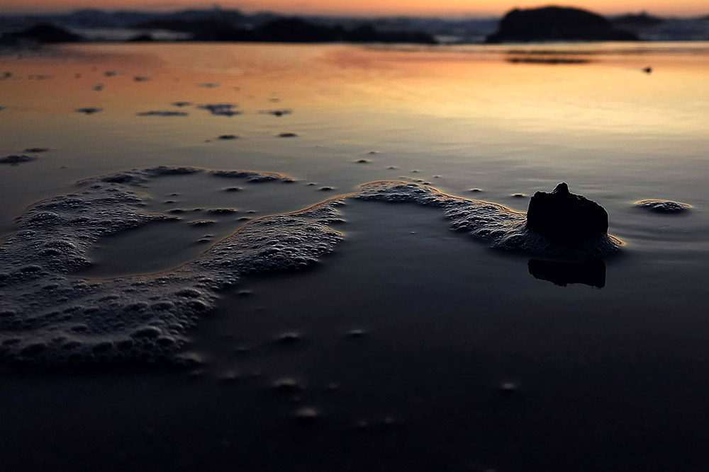 Marissa Smith • Sunset