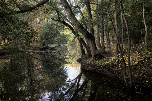 Eric Rennie • Early Fall on Mattabesset River