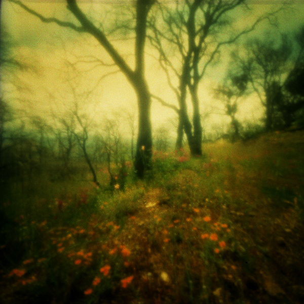 J.M. Golding • You Know Without Having Seen • Honorable Mention