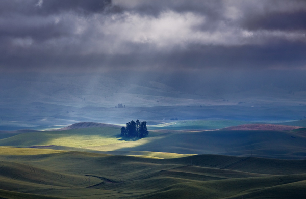 Jim Congleton • Moody Palouse