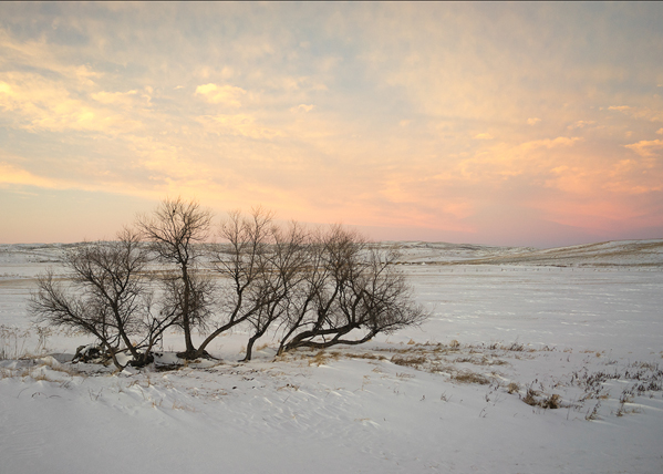 Rebecca Akporiaye • Snow on the Sandhills