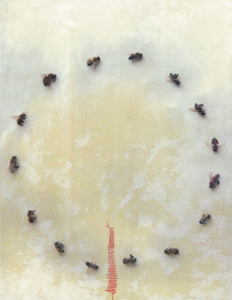 Katie Kalkstein • Bee Circle • Mixed Media:Pigment Print • $650	
