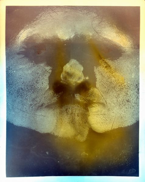 Ky Lewis • Lumen Face II • LumenPrint:Chemigram:c-print •$150:250