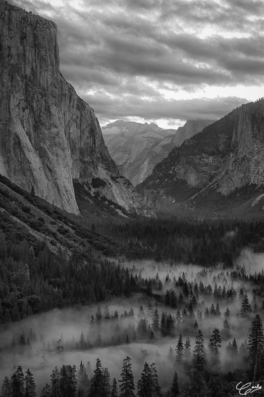 Carlo DeLumpa • Yosemite Valley