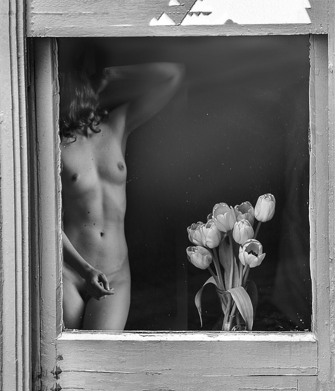 Felix Martin • Nude By Window