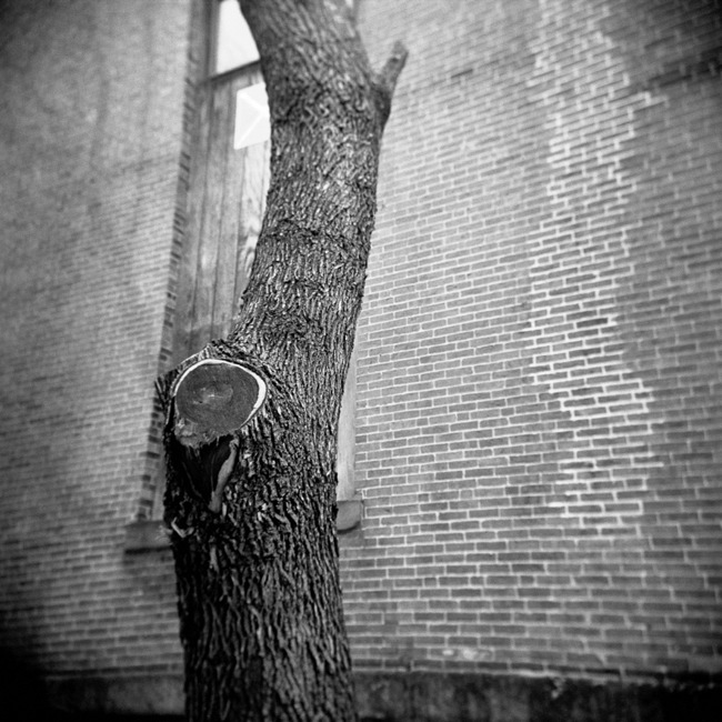 Gregory Russo • Boston, Ma. •
Space and Time •
Camera: Holga
