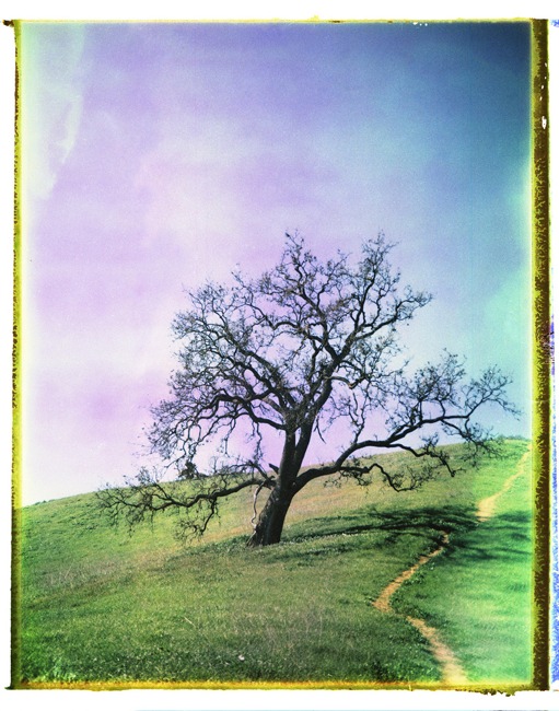 Miguel Bejarano • The Lost Hills • Camera: Polaroid Colorpack II
