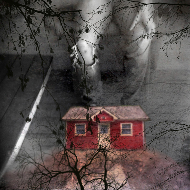 Red House •
Holga •
Diane Peterson •
Portland, Oregon
