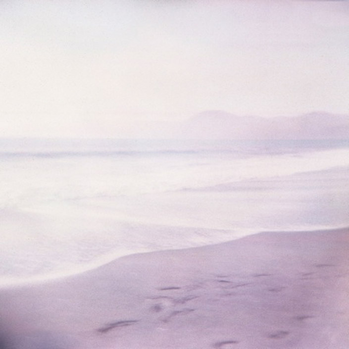 Adrienne Highley  • Lafayette, Ca. • 
“Twilight Reverie #2” • Holga
