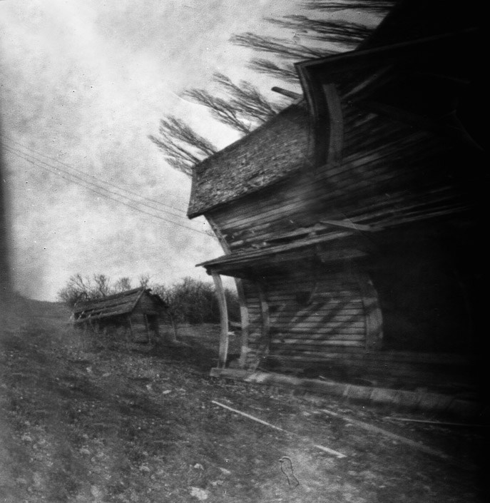 Diane Peterson  •  Winchester, Id. • 
“Bending”  •  Homemade Pinhole
