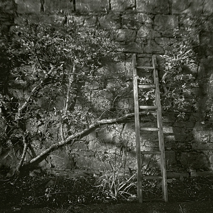 Joseph Phillippe Bevillard •  Killaloe, Ireland • 
“Ladder, Ireland 2013” • Diana F+
