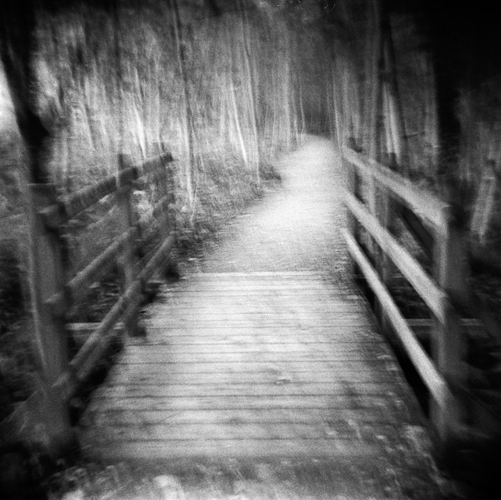 Marie Carr  •  Kilcar, Ireland • 
“The Path”  • Diana
