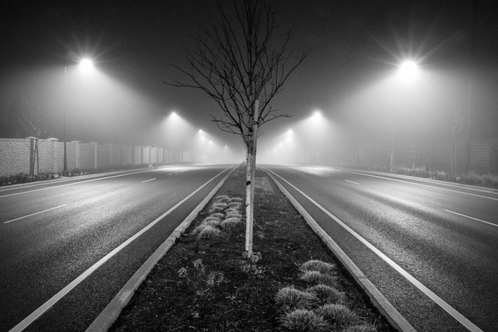 Kate Ampersand •
Foggy Night