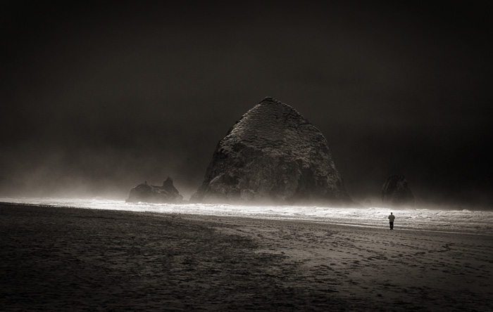 Scott Hoyle •
Walk Alone