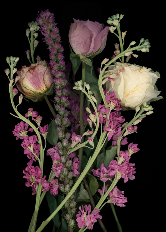 Pat Rose •
Nestled Blooms
