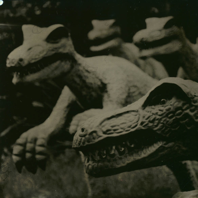 Matt Larson • Tampa, Fl. •
Stygimoloch_01 •
Wet Plate Collodion •
$350 
