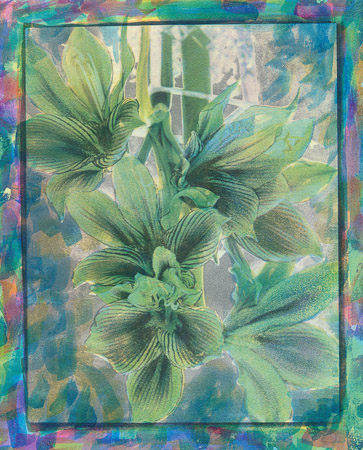 Marek Matusz •
Green Amaryllis •
Gum Bichromate Print
