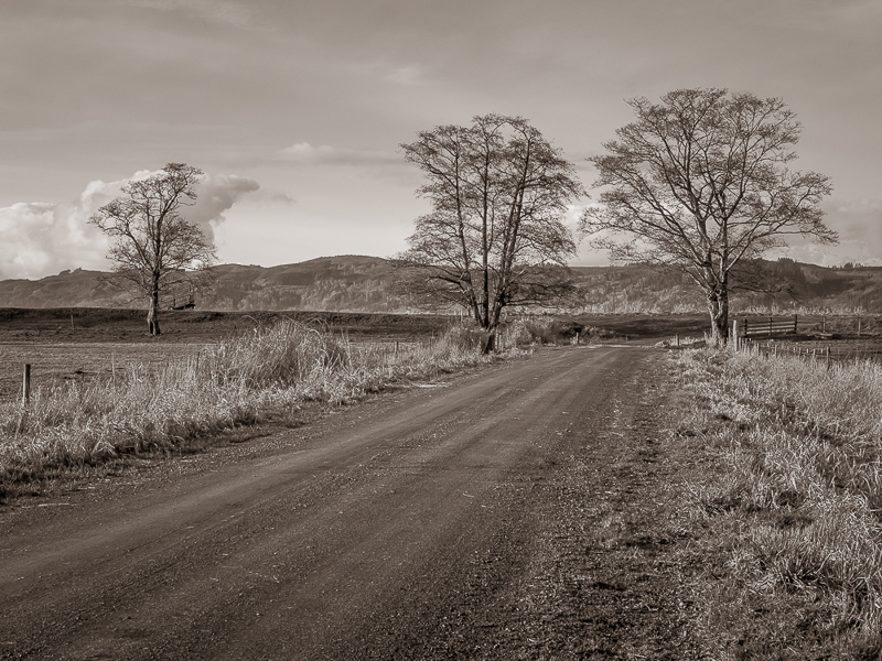 Bug Hole Road - Brownsmead